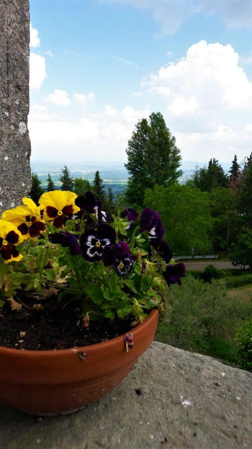 Apartmán A Due Passi Dal Chianti Cavriglia Exteriér fotografie